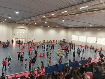 RESULTADOS 8º CIRCUITO REGIONAL MINIVOLEIBOL AVL &quot;PROFESSOR ANTÓNIO MARTINS&quot; 24/25