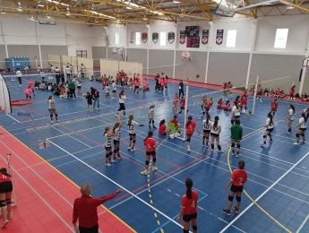 CIRCUITO REGIONAL MINIVOLEIBOL "PROFESSOR ANTÓNIO MARTINS" 2025/2026 - ZONA D